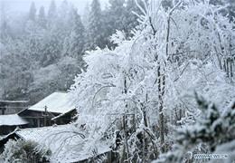 Lumea înghețării! Iarna în provincia Hubei din China.